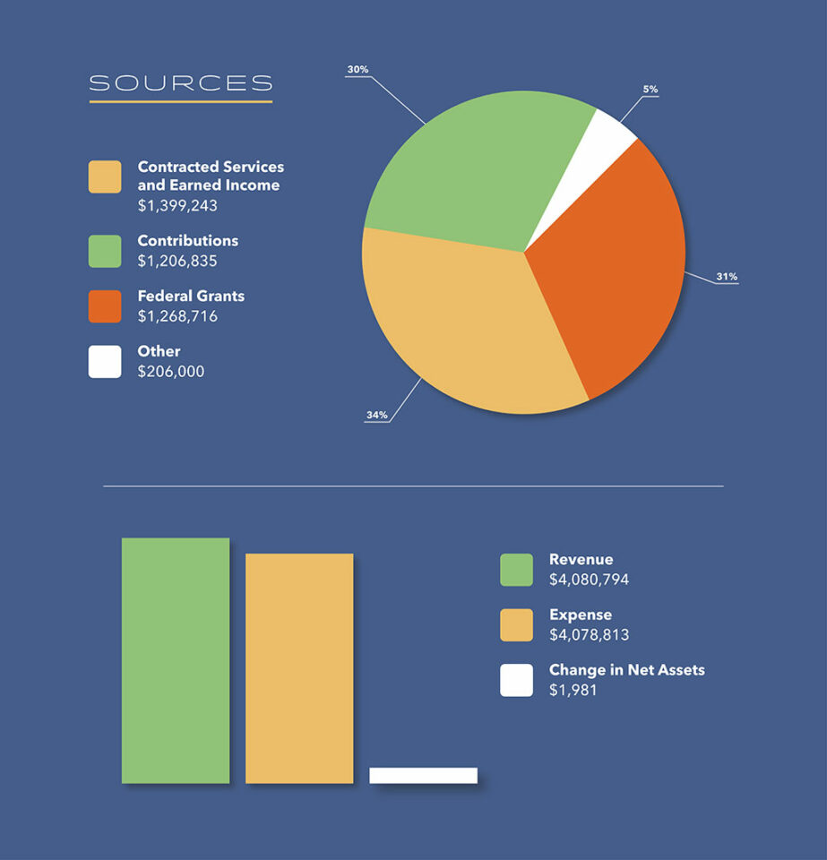 Infographic featuring pie chart, line graphs