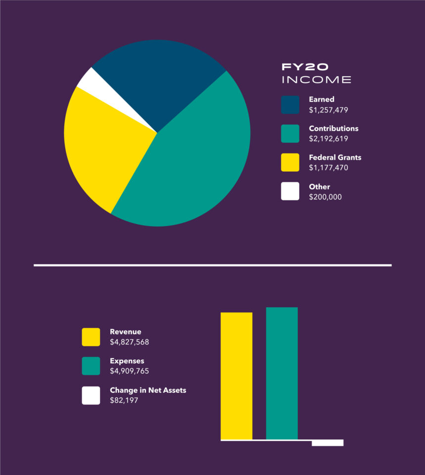 Infographic with pie chart and line graph