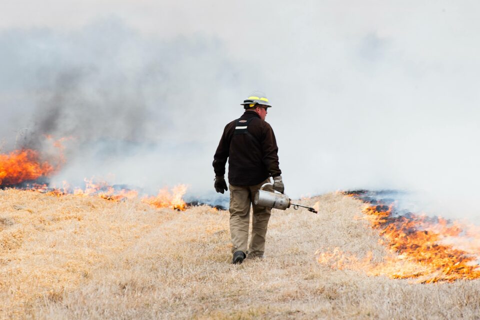 Man wearing fire gear and a fire starter walking in front of grasses burning and smoke billowing in the background.